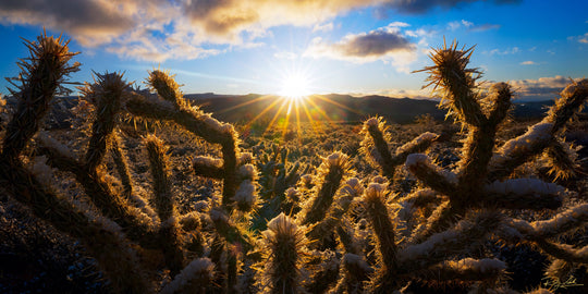 Beginning To Thaw