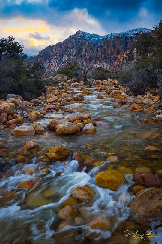 Disappearing Creek