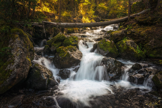 Hidden Cascades