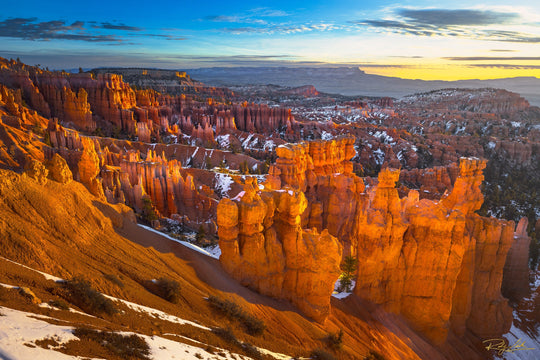 Morning Light At Bryce